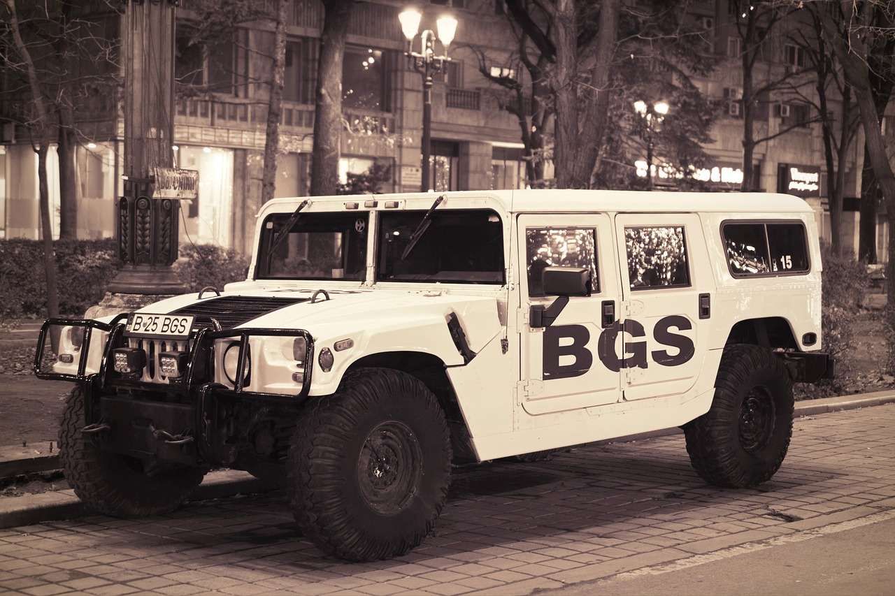 暗黑破坏神不朽（国际服）：福州动物购买平台