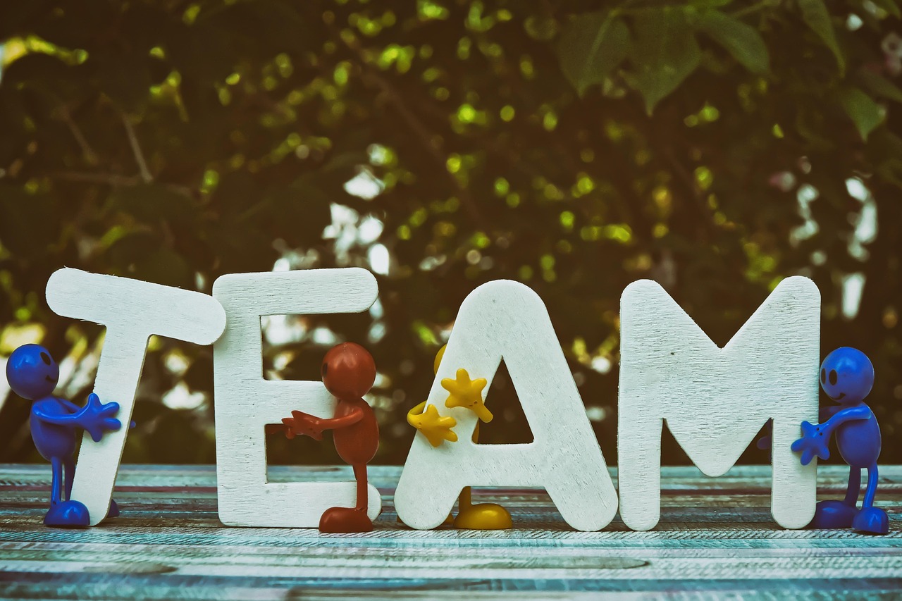 忠告七星蓝莓爆珠：代理一个自媒体平台多少钱