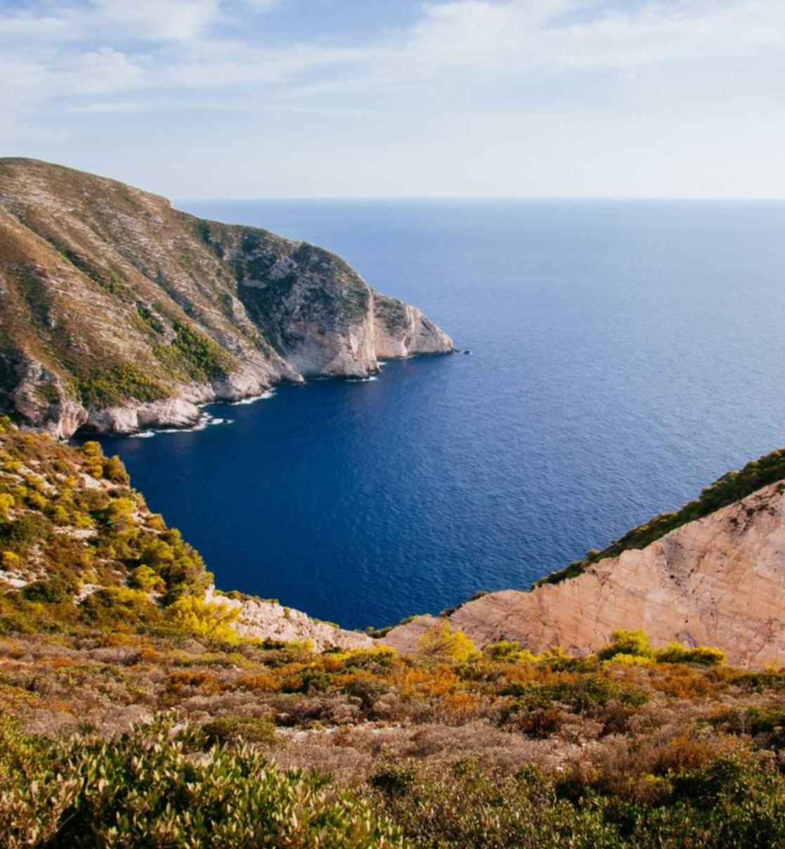 白号发卡网：沃尔玛app详情下载教程