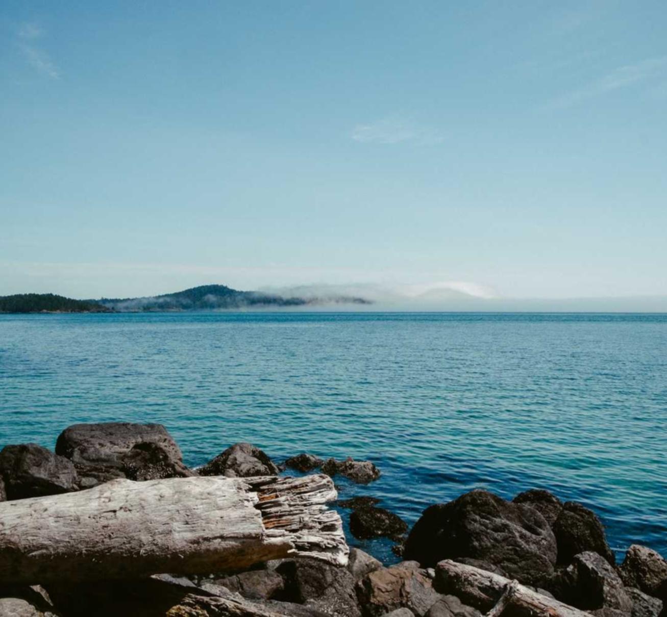 摩臣4云电脑账号注册