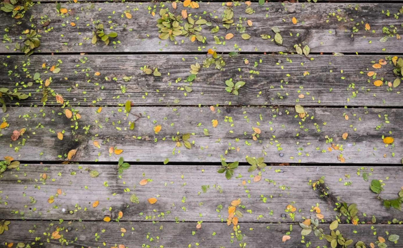 DDOS测试|如何防止黑客入侵你的手机